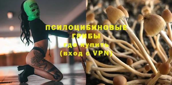 бошки Алзамай